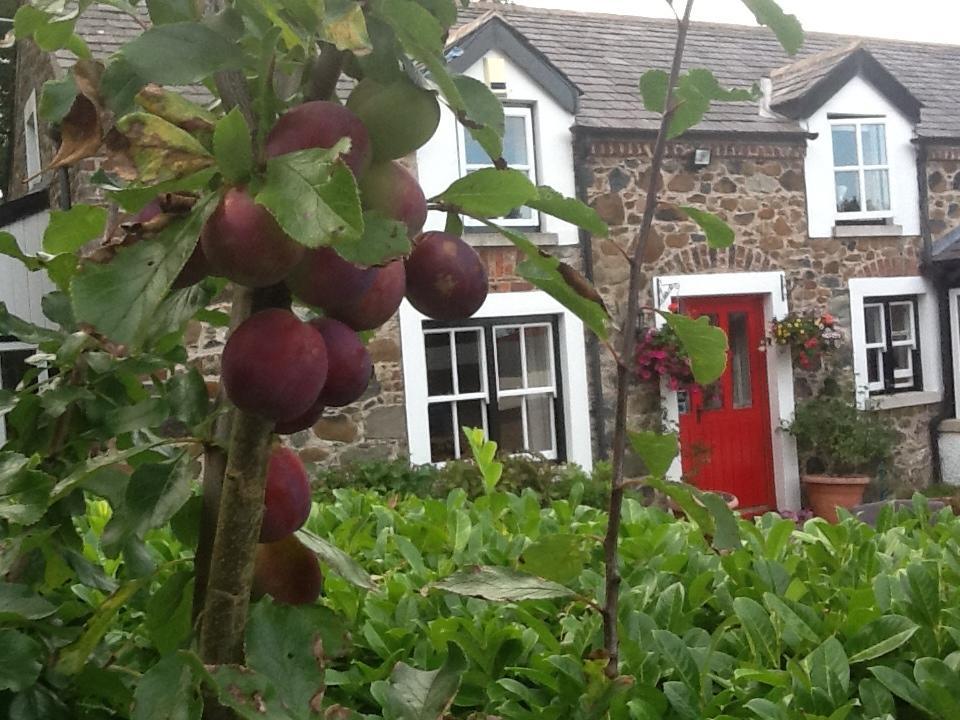 Berwick Hall Cottage Moira  Cameră foto